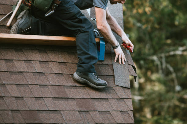 Best Metal Roofing Contractor  in Leilani Estates, HI